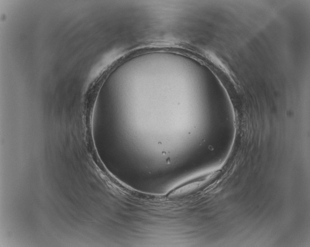 X0000067521456200604071309