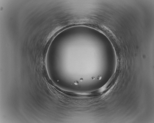 X0000067521457200604071309