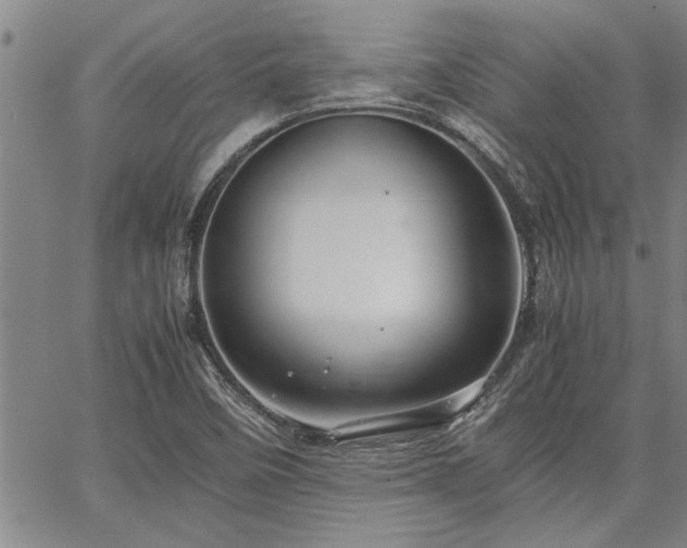 X0000067521458200604071309