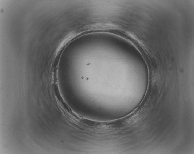 X0000067521459200604071309