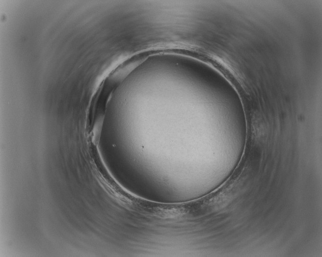 X0000067521460200604071309