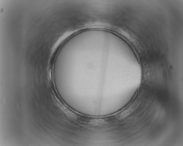 X0000067521462200604071309