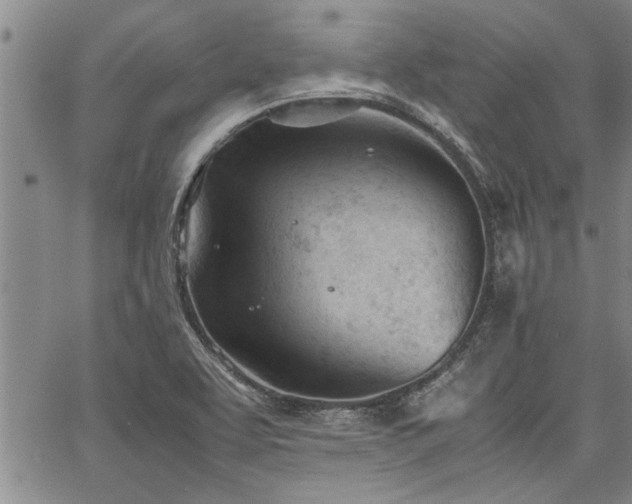 X0000067521463200604071309