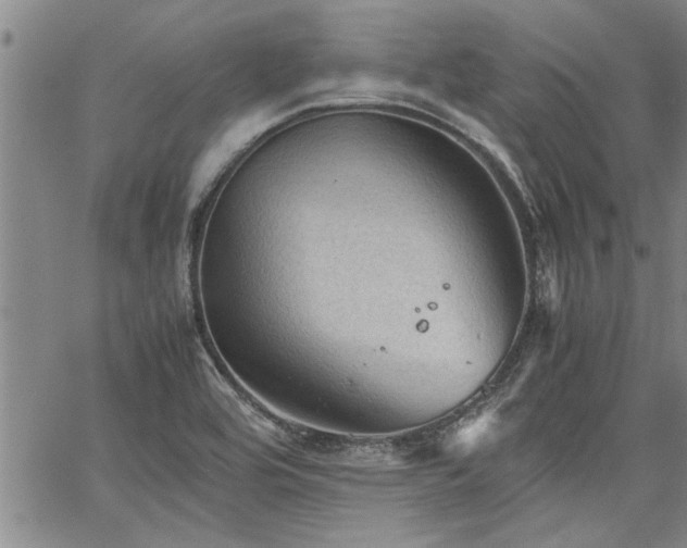 X0000067521464200604071309