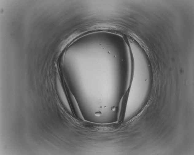 X0000067521465200604071309