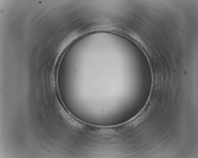 X0000067521466200604071309