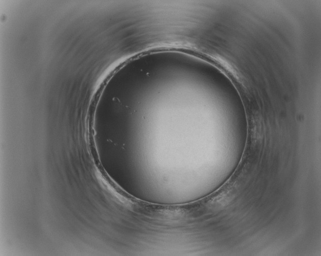 X0000067521468200604071309