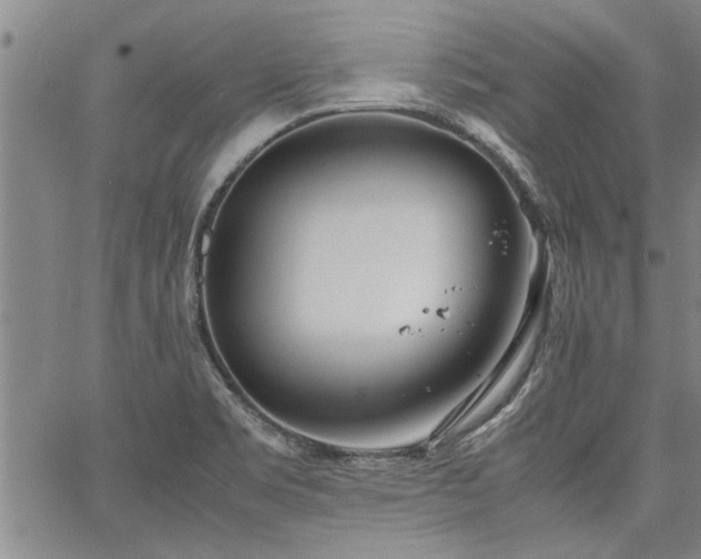 X0000067521469200604071309