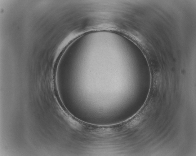 X0000067521470200604071309