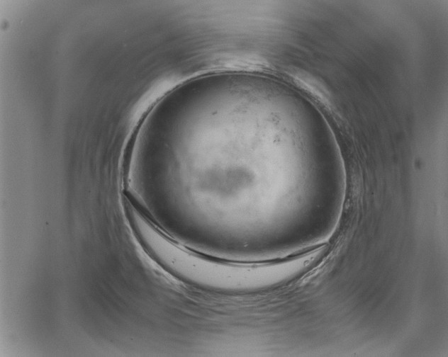 X0000067521471200604071309