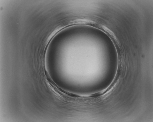 X0000067521473200604071309