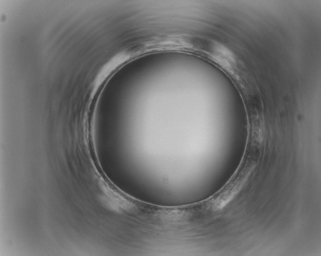 X0000067521474200604071309