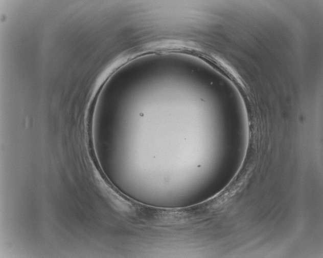 X0000067521475200604071309