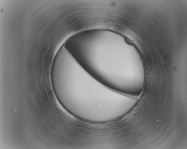 X0000067521476200604071309