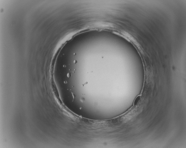 X0000067521477200604071309