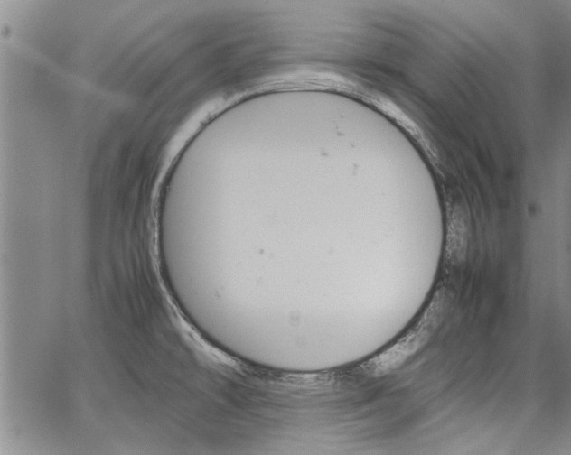 X0000067521478200604071309