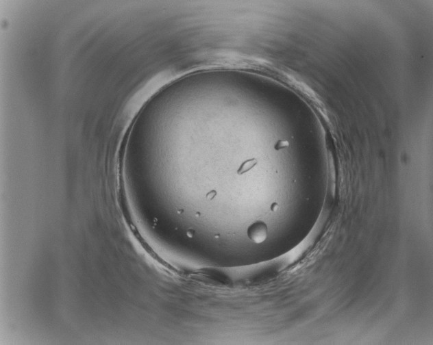 X0000067521479200604071309