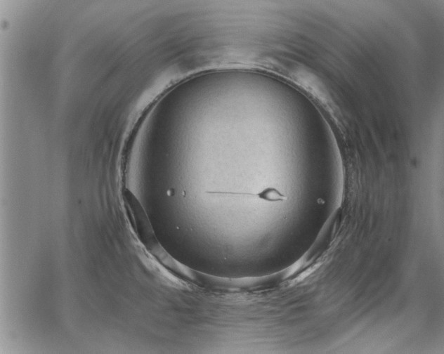 X0000067521480200604071309