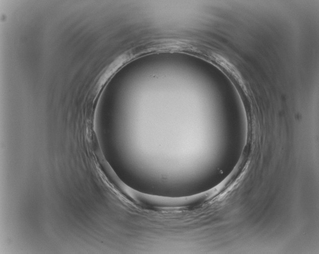 X0000067521481200604071309