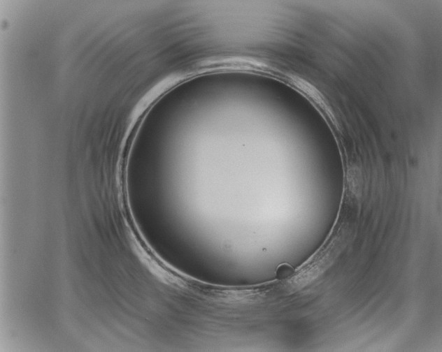 X0000067521482200604071309