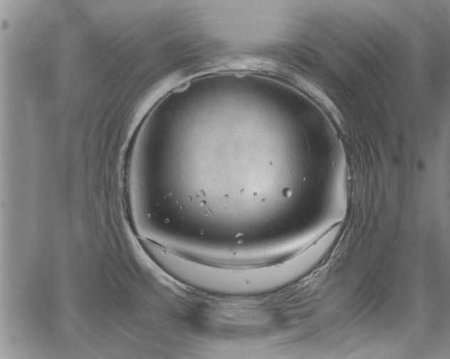 X0000067521483200604071309