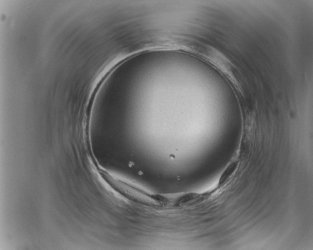 X0000067521484200604071309