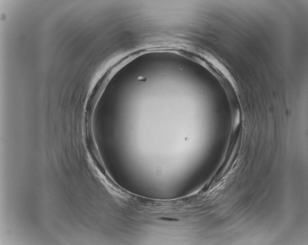 X0000067521485200604071309