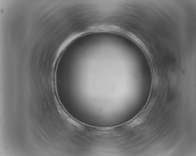 X0000067521486200604071309