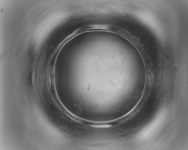 X0000067521487200604071309