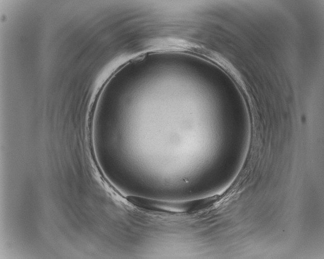 X0000067521488200604071309