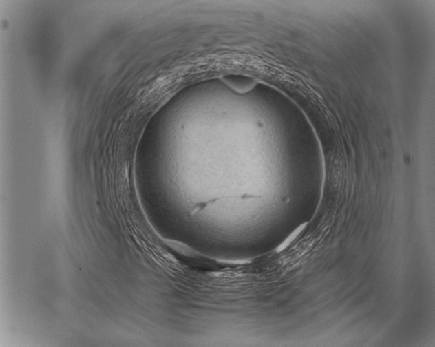 X0000067521489200604071308