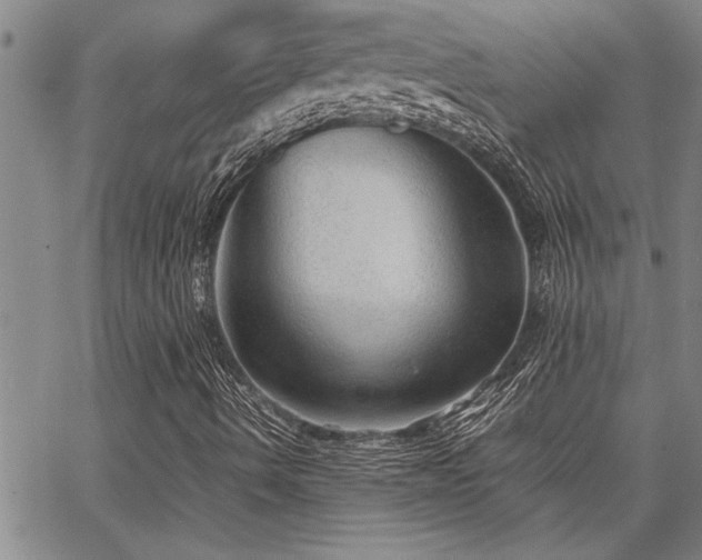 X0000067521490200604071308