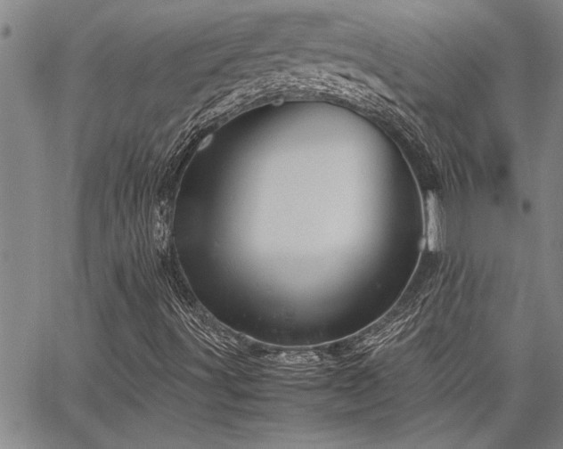 X0000067521491200604071308