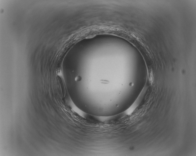 X0000067521492200604071308