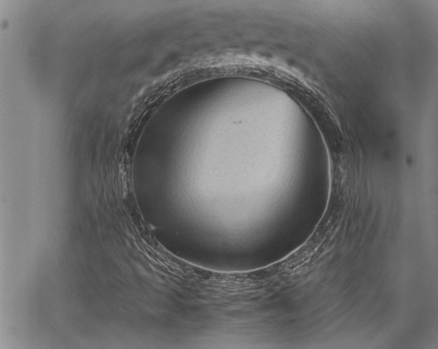 X0000067521493200604071308