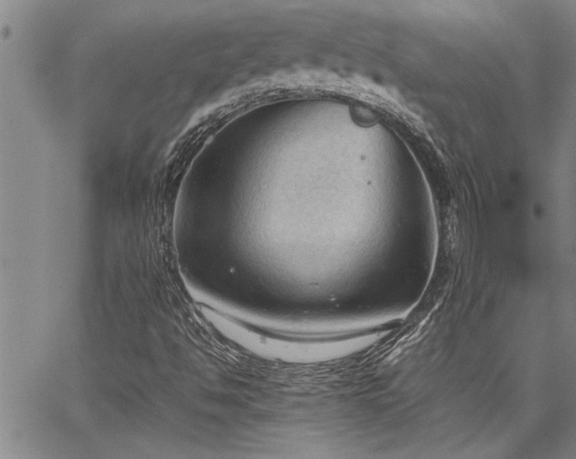 X0000067521494200604071308