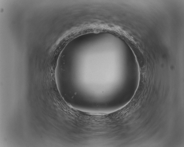 X0000067521495200604071308