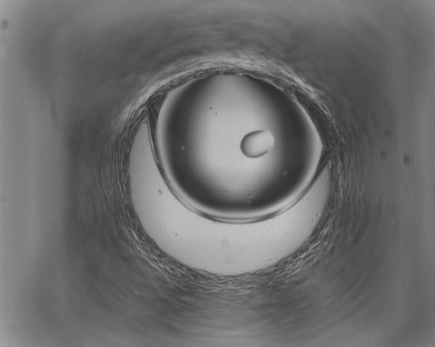 X0000067521496200604071308