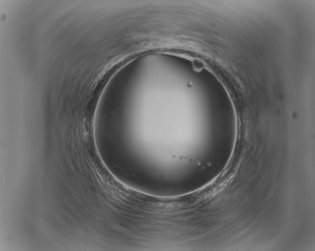 X0000067521497200604071308