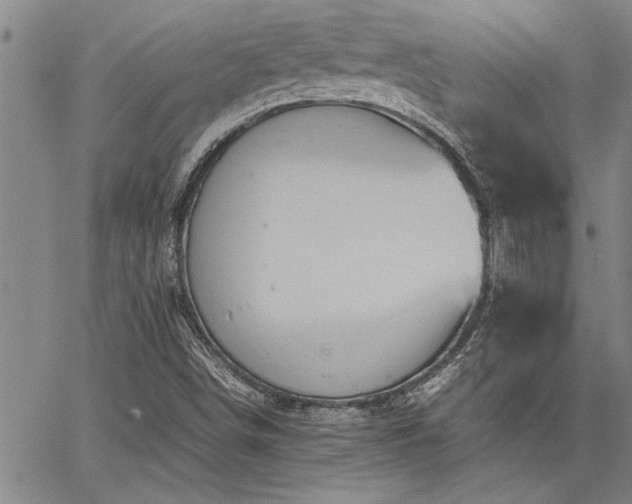 X0000067521498200604071308