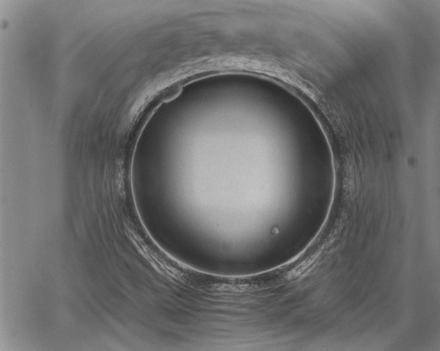 X0000067521499200604071308