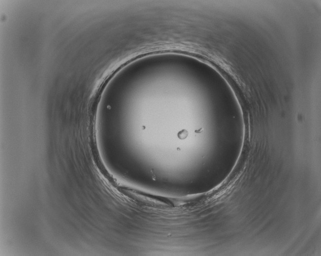 X0000067521500200604071308