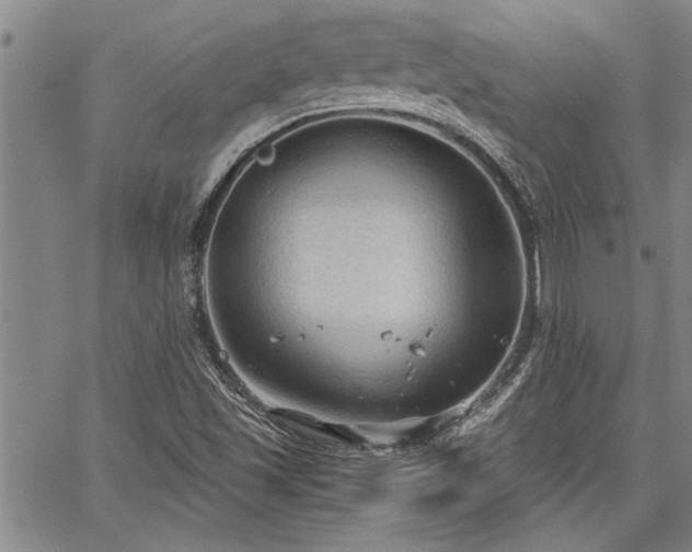 X0000067521501200604071308