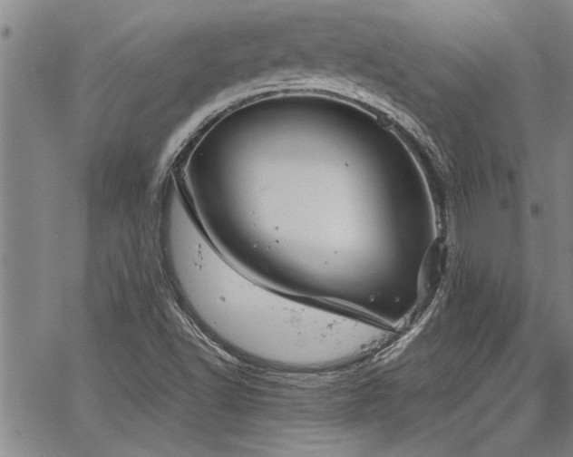 X0000067521502200604071308