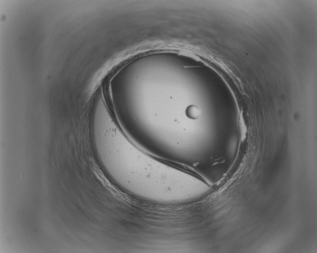 X0000067521503200604071308