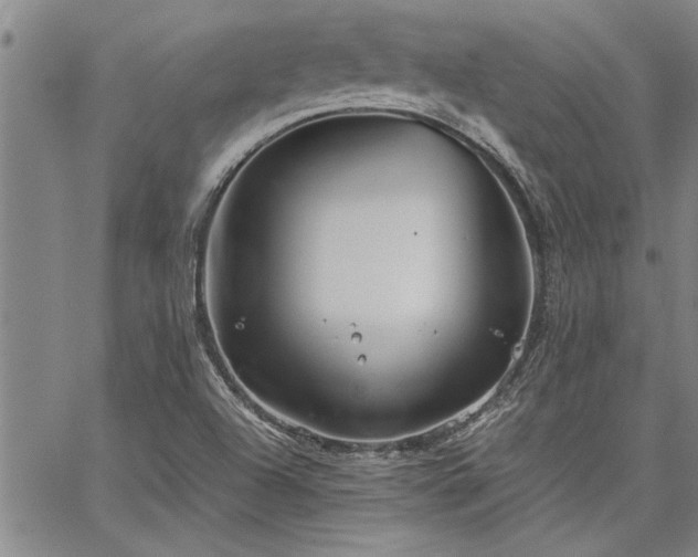 X0000067521504200604071308