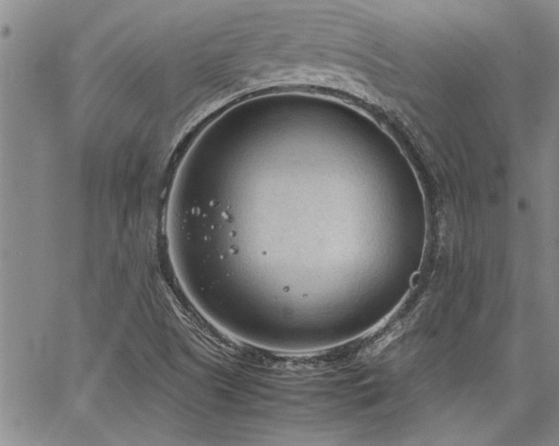 X0000067521505200604071308