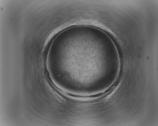 X0000067521506200604071308