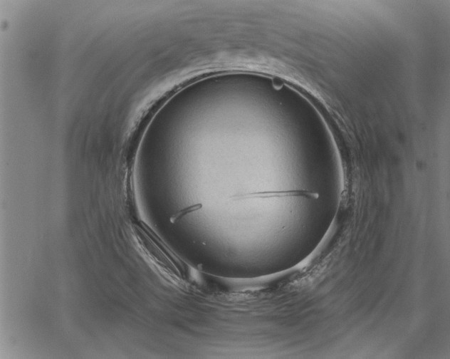 X0000067521507200604071308