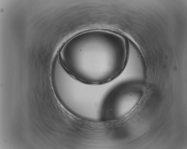 X0000067521508200604071308